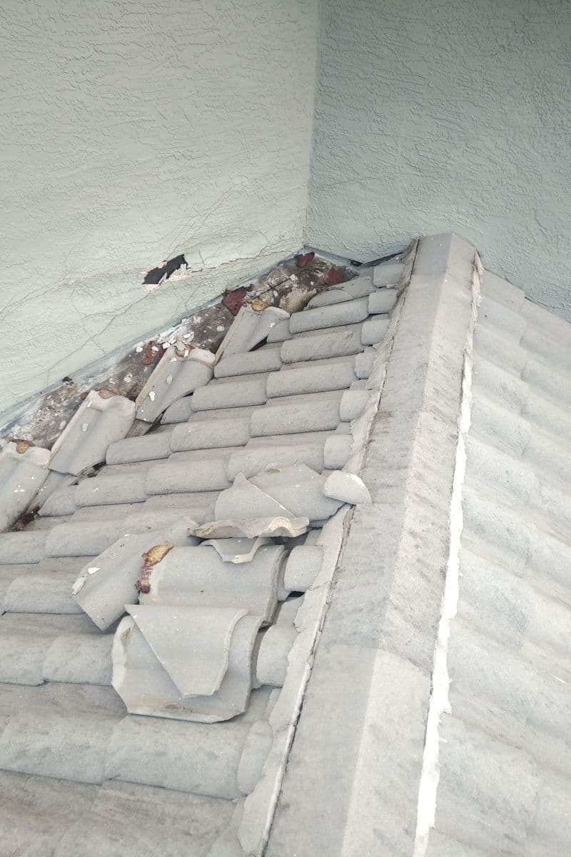 Stucco repair image 3