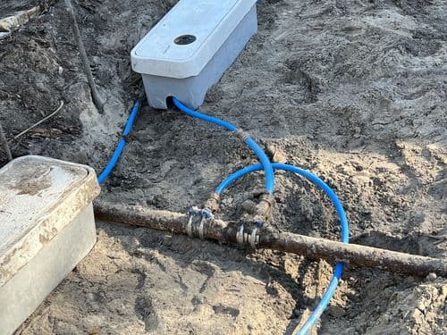 Roser Park Designer Small Space image 14