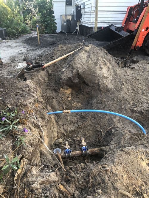 Roser Park Designer Small Space image 27