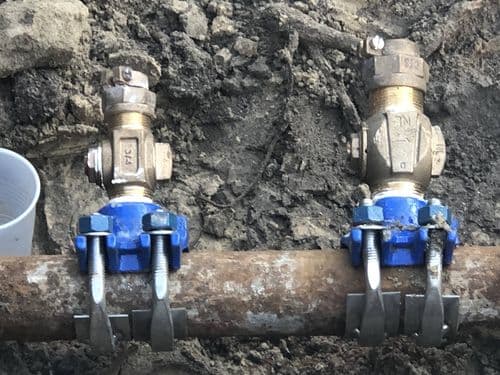 Roser Park Designer Small Space image 51