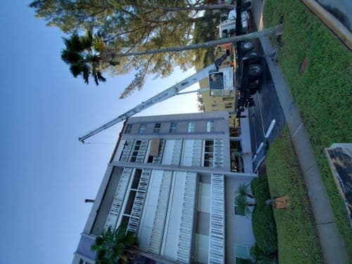 The Good Stuff image 10