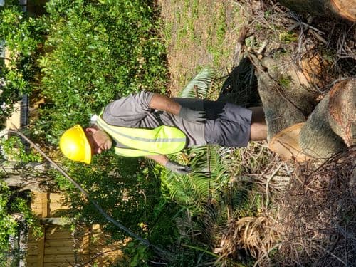 The Good Stuff image 19