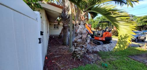 The Good Stuff image 32