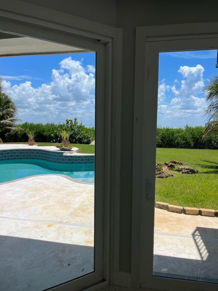 Window view of pool and tropical yard in St. Petersburg Florida