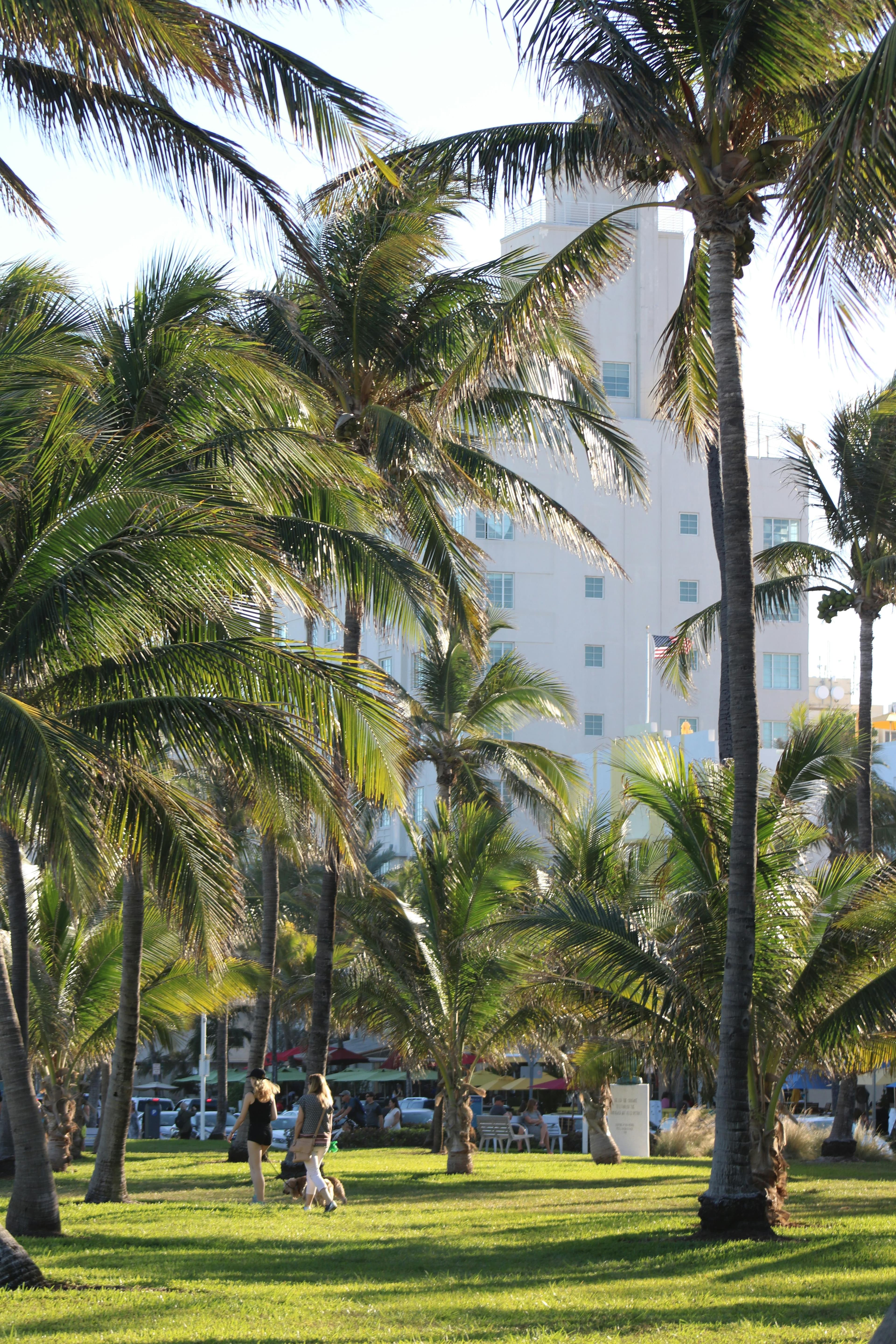 Revolution Contractors work in Pinellas Park